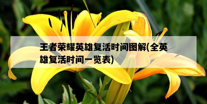 王者榮耀英雄復活時間圖解，全英雄復活時間一覽表-圖1