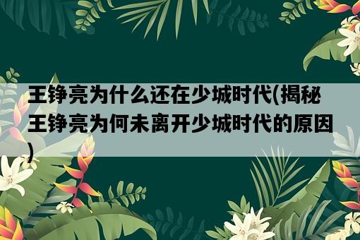 王錚亮為什么還在少城時代，揭秘王錚亮為何未離開少城時代的原因-圖1