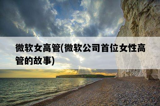 微軟女高管，微軟公司首位女性高管的故事-圖1