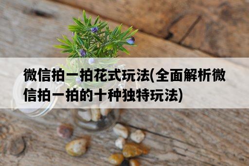 微信拍一拍花式玩法，全面解析微信拍一拍的十種獨特玩法-圖1