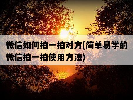 微信如何拍一拍對方，簡單易學的微信拍一拍使用方法-圖1