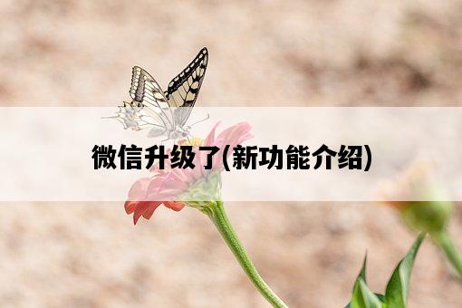 微信升級了，新功能介紹-圖1