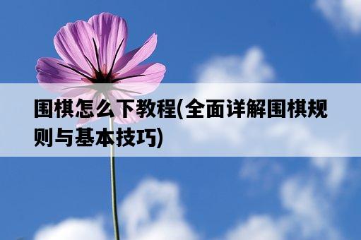 圍棋怎么下教程，全面詳解圍棋規則與基本技巧-圖1