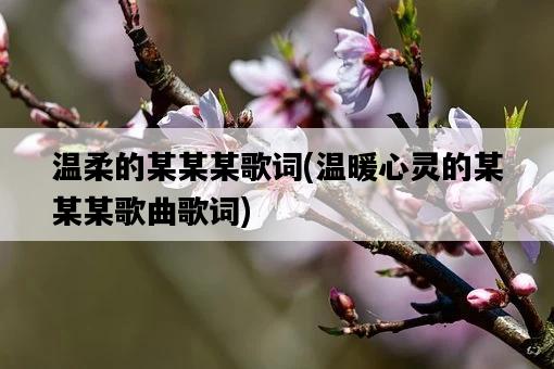 溫柔的某某某歌詞，溫暖心靈的某某某歌曲歌詞-圖1