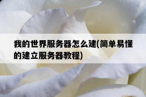 我的世界服務器怎么建，簡單易懂的建立服務器教程-圖1