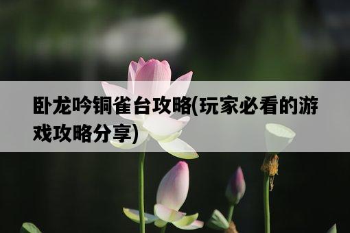 臥龍吟銅雀臺攻略，玩家必看的游戲攻略分享-圖1