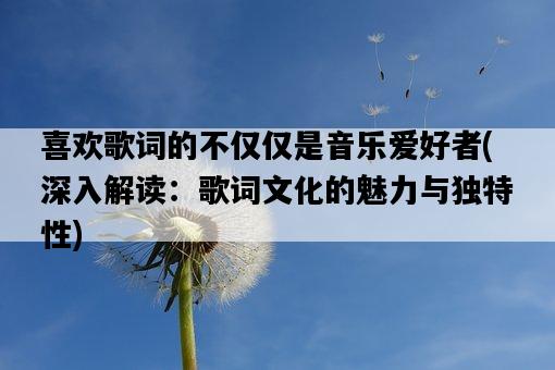 喜歡歌詞的不僅僅是音樂愛好者，深入解讀：歌詞文化的魅力與獨特性-圖1