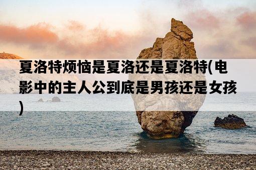 夏洛特煩惱是夏洛還是夏洛特，電影中的主人公到底是男孩還是女孩-圖1