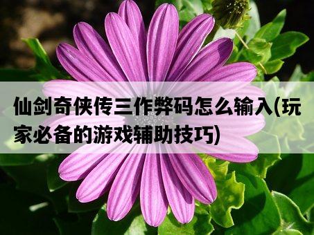 仙劍奇俠傳三作弊碼怎么輸入，玩家必備的游戲輔助技巧-圖1