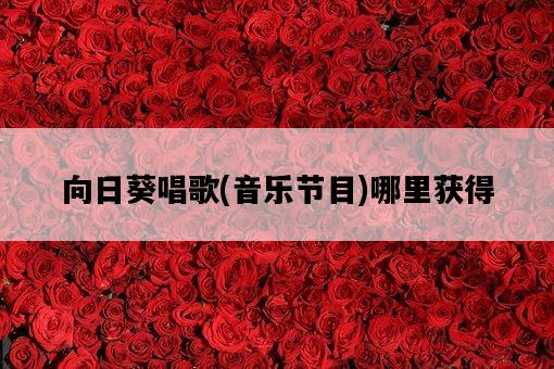 向日葵唱歌，音樂節目哪里獲得-圖1