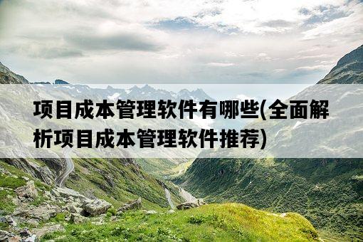項目成本管理軟件有哪些，全面解析項目成本管理軟件推薦-圖1