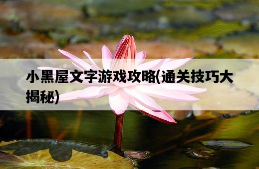 小黑屋文字游戲攻略，通關技巧大揭秘-圖1