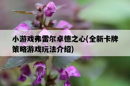 小游戲弗雷爾卓德之心，全新卡牌策略游戲玩法介紹-圖1