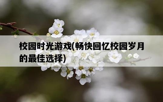 校園時光游戲，暢快回憶校園歲月的最佳選擇-圖1