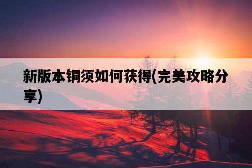 新版本銅須如何獲得，完美攻略分享-圖1