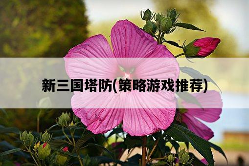 新三國塔防，策略游戲推薦-圖1