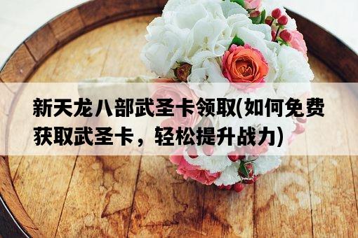 新天龍八部武圣卡領取，如何免費獲取武圣卡，輕松提升戰力-圖1