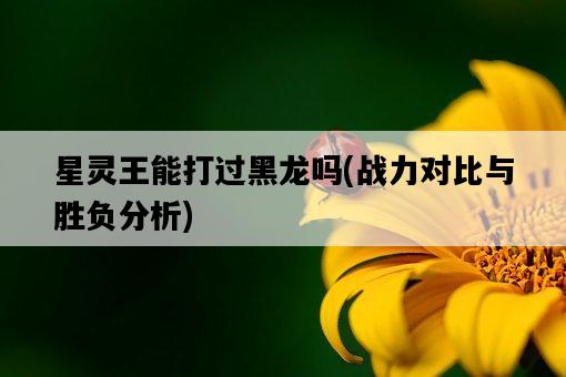 星靈王能打過黑龍嗎，戰力對比與勝負分析-圖1