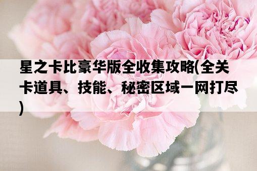 星之卡比豪華版全收集攻略，全關卡道具、技能、秘密區域一網打盡-圖1