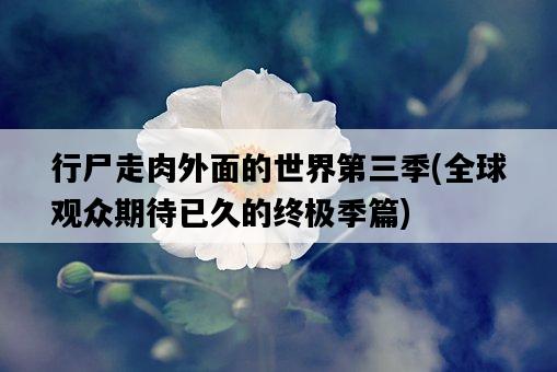 行尸走肉外面的世界第三季，全球觀眾期待已久的終極季篇-圖1