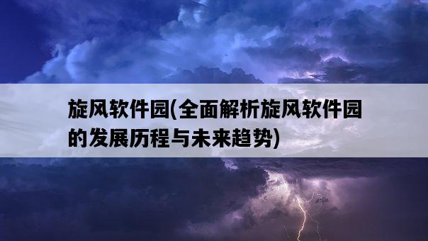 旋風軟件園，全面解析旋風軟件園的發展歷程與未來趨勢-圖1