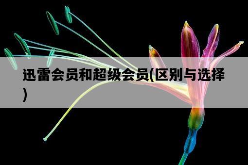 迅雷會員和超級會員，區別與選擇-圖1