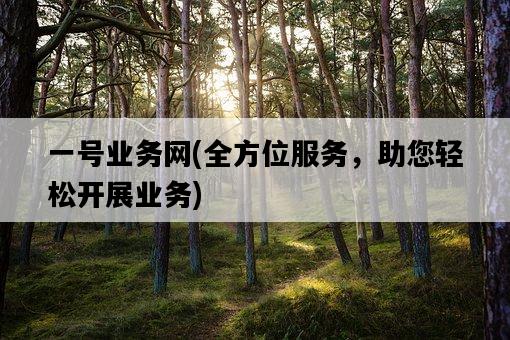 一號業務網，全方位服務，助您輕松開展業務-圖1