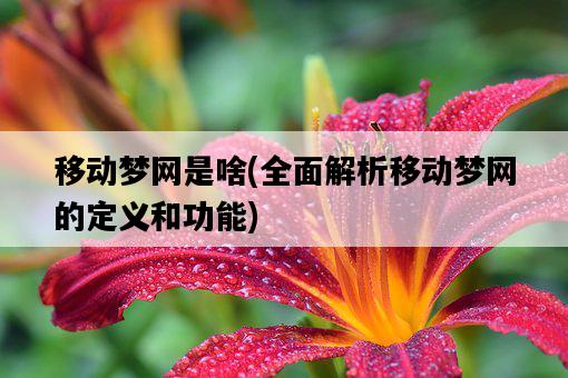 移動夢網是啥，全面解析移動夢網的定義和功能-圖1