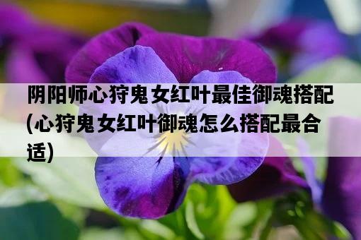 陰陽師心狩鬼女紅葉最佳御魂搭配，心狩鬼女紅葉御魂怎么搭配最合適-圖1