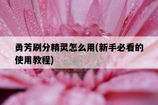 勇芳刷分精靈怎么用，新手必看的使用教程-圖1