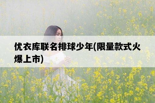 優衣庫聯名排球少年，限量款式火爆上市-圖1