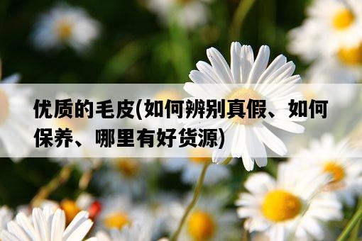 優質的毛皮，如何辨別真假、如何保養、哪里有好貨源-圖1
