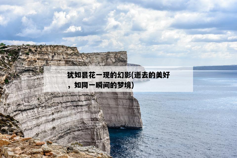 猶如曇花一現的幻影，逝去的美好，如同一瞬間的夢境-圖1